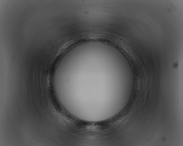 X0000091710216200708241004