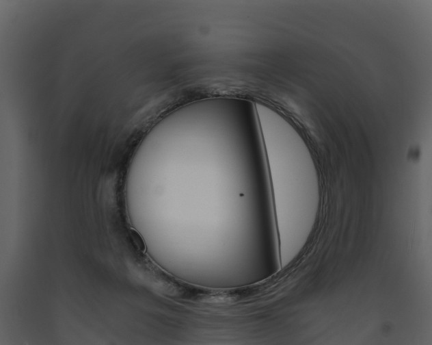 X0000091710217200708241004