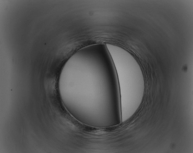 X0000091710219200708241004