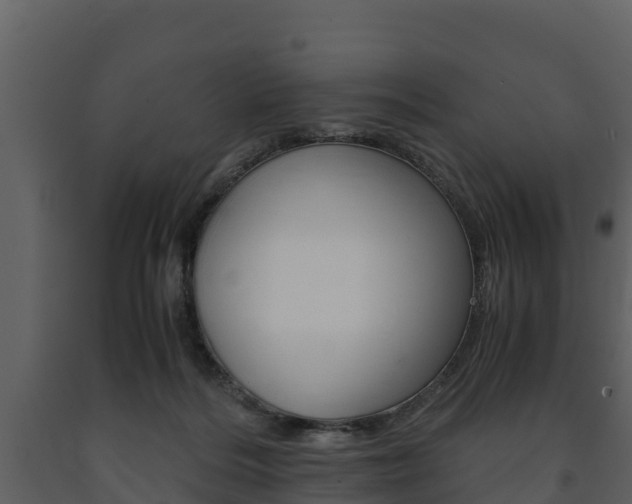 X0000091710220200708241004