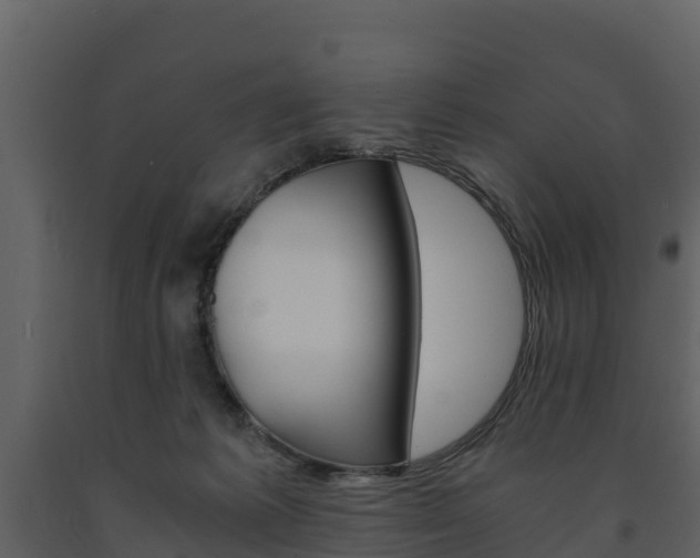 X0000091710221200708241004