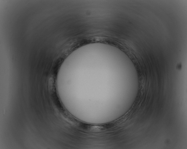 X0000091710222200708241004