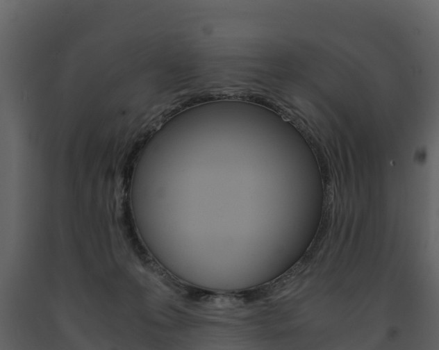 X0000091710223200708241003