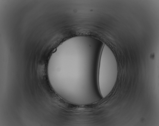 X0000091710224200708241003