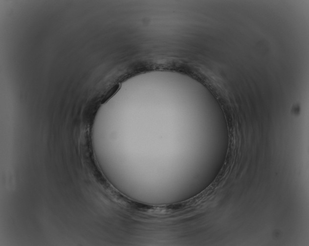 X0000091710225200708241003