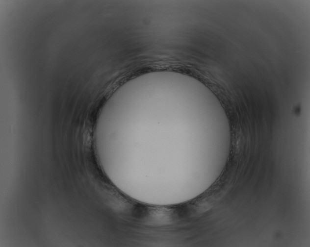 X0000091710226200708241003