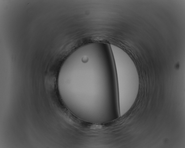 X0000091710227200708241003