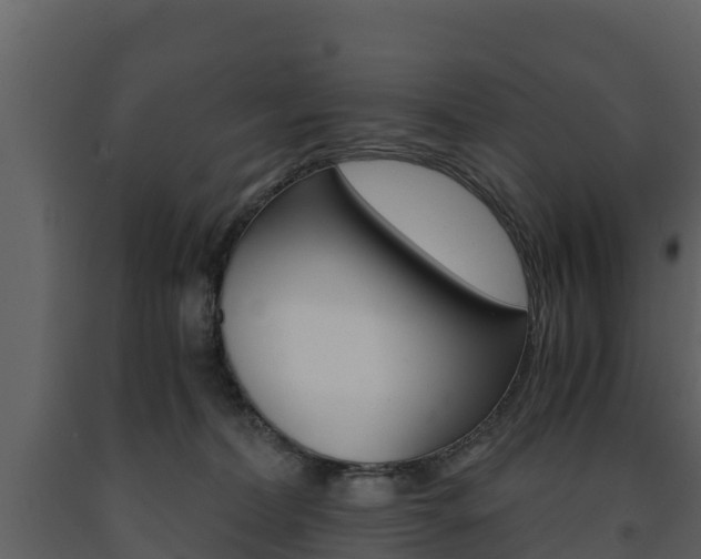 X0000091710228200708241003