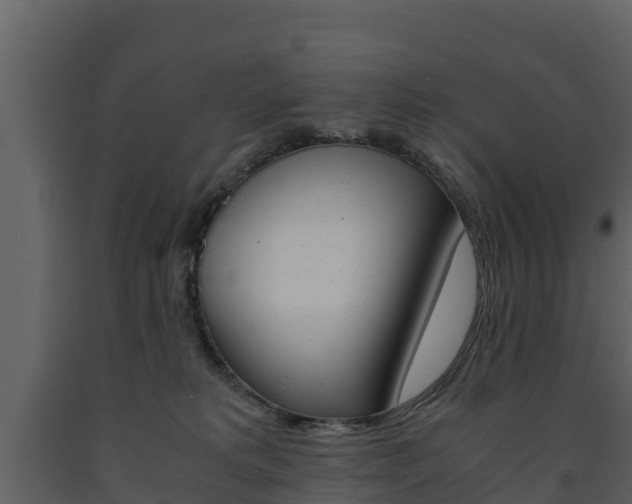 X0000091710229200708241003