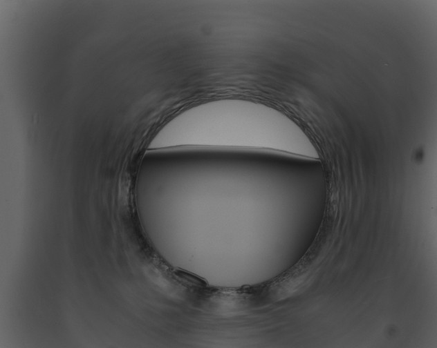 X0000091710231200708241003