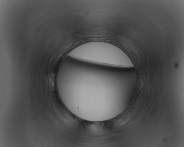 X0000091710232200708241003