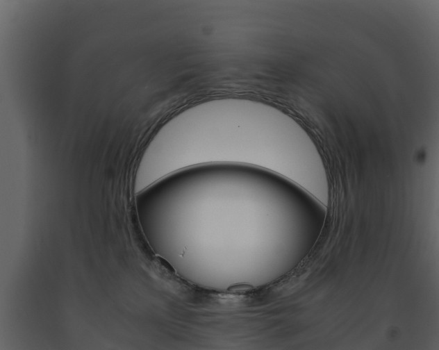 X0000091710233200708241003