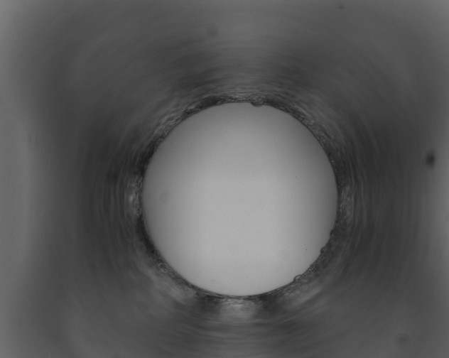 X0000091710234200708241003