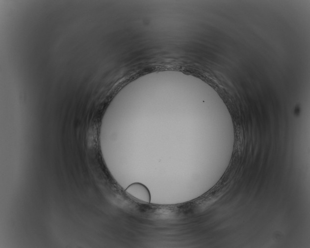 X0000091710236200708241003