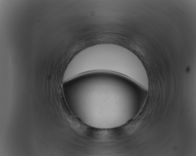 X0000091710237200708241003