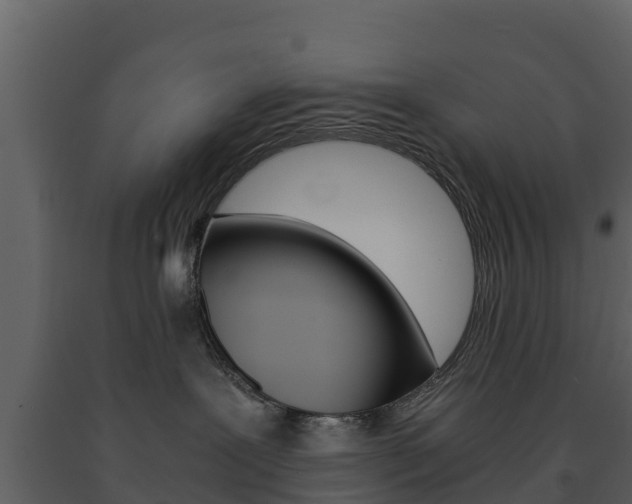 X0000091710239200708241003