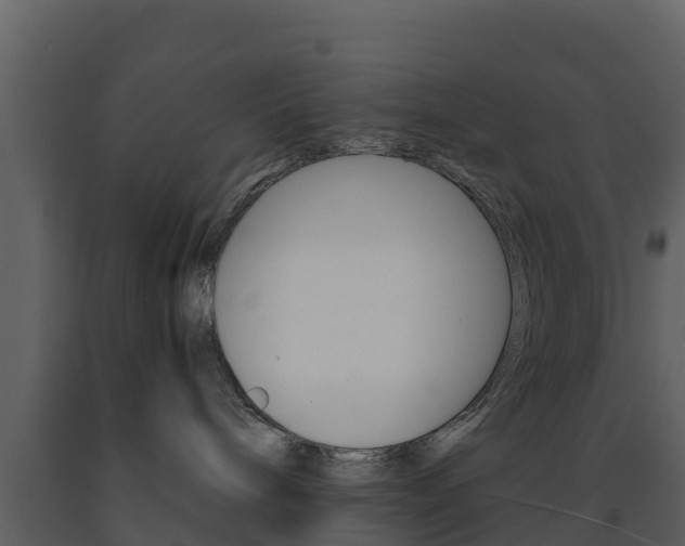 X0000091710240200708241003