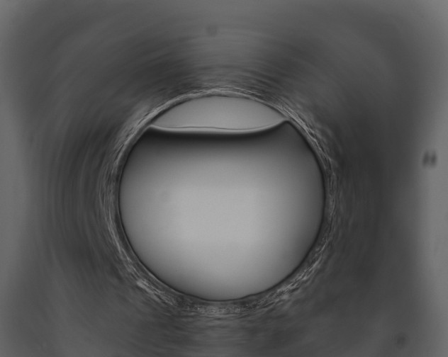 X0000091710241200708241003