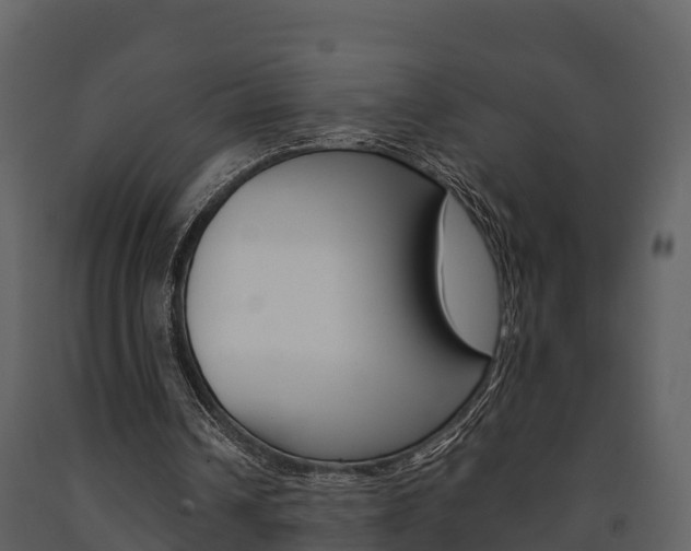 X0000091710242200708241003