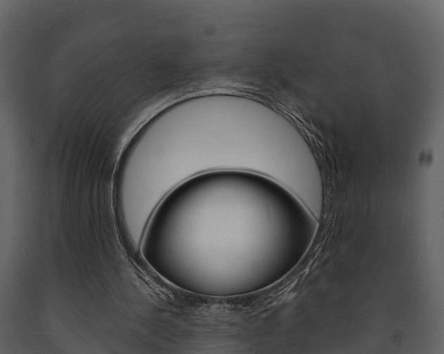 X0000091710244200708241003