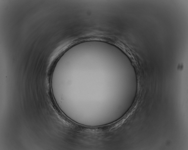 X0000091710245200708241003