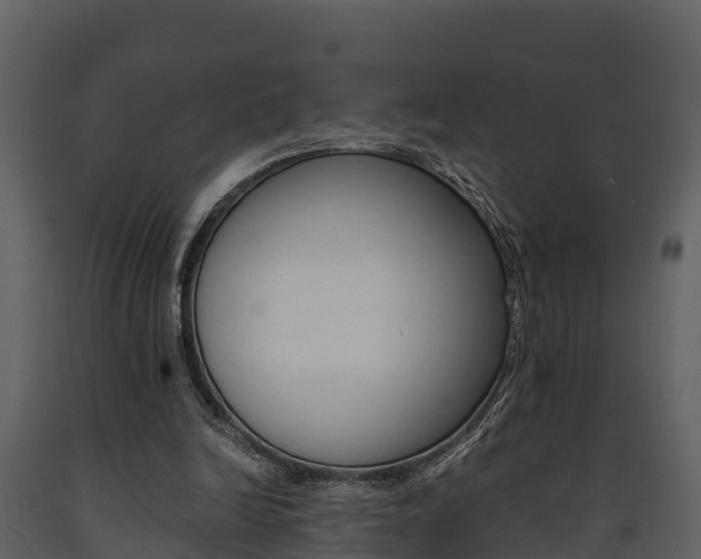 X0000091710246200708241003