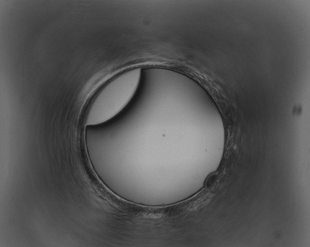 X0000091710247200708241003