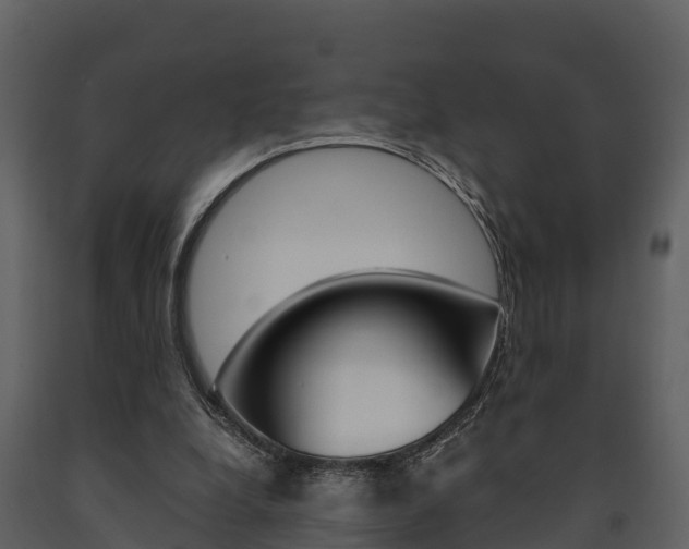 X0000091710248200708241003