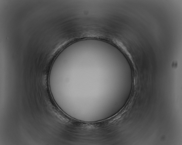 X0000091710249200708241003