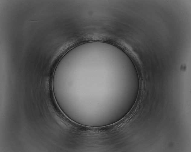 X0000091710250200708241003