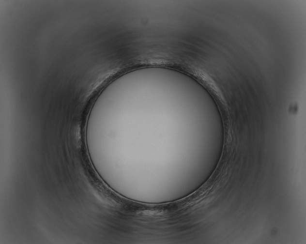 X0000091710251200708241003