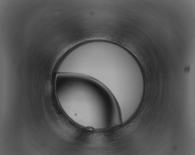 X0000091710252200708241003