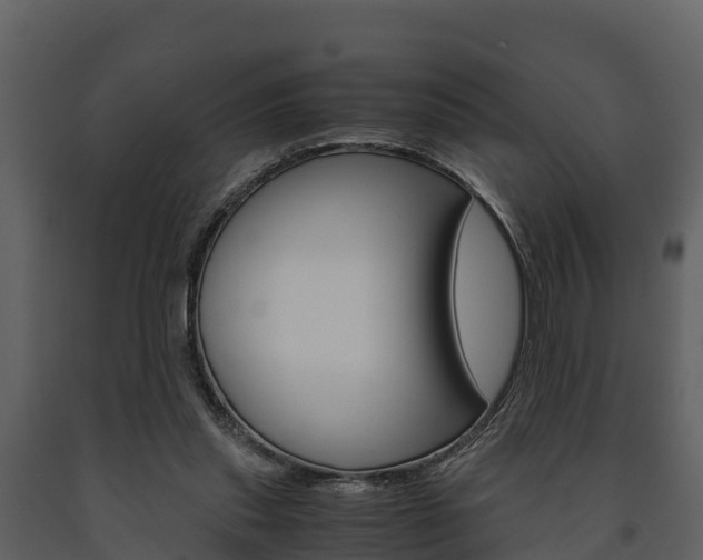 X0000091710253200708241003
