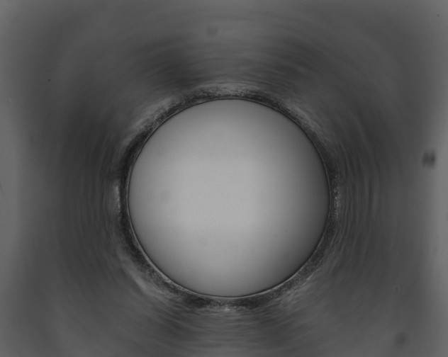 X0000091710254200708241003