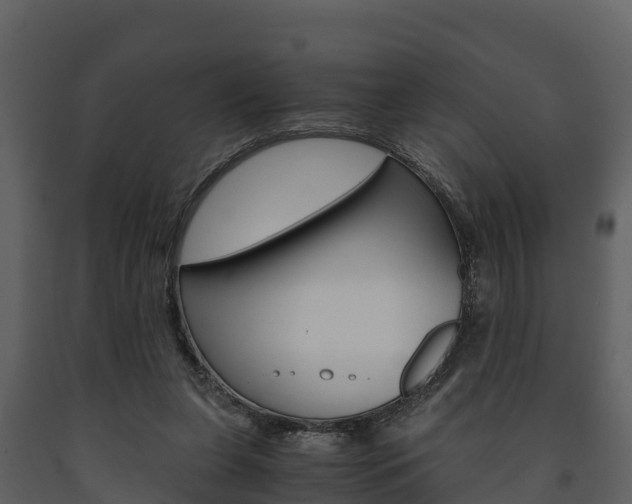 X0000091710255200708241003