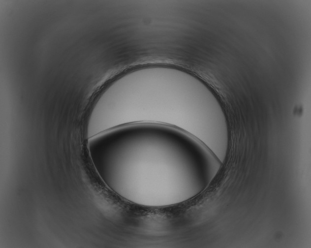 X0000091710256200708241003