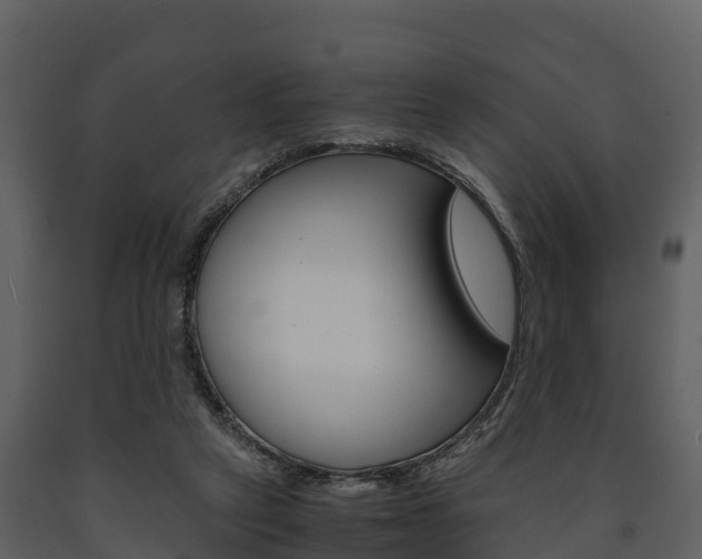 X0000091710257200708241003