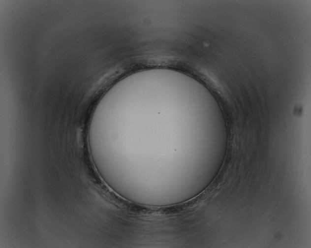 X0000091710258200708241003