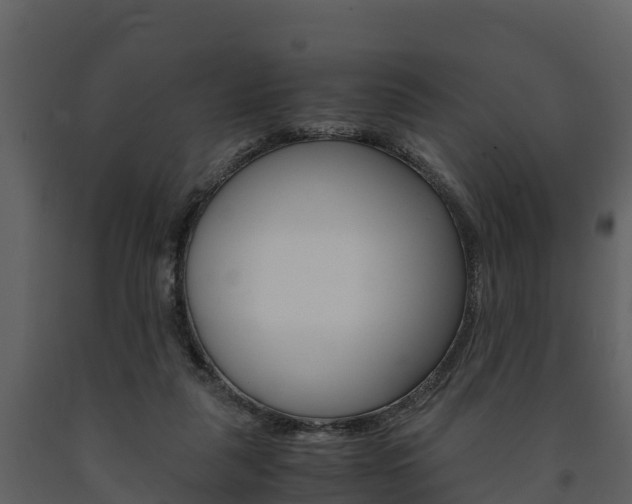 X0000091710259200708241003