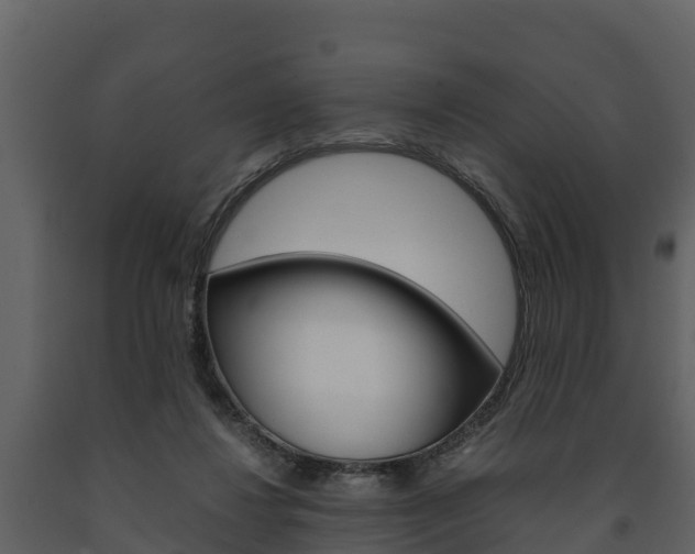 X0000091710260200708241003