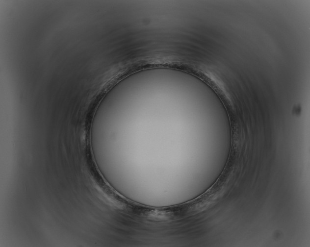 X0000091710261200708241003