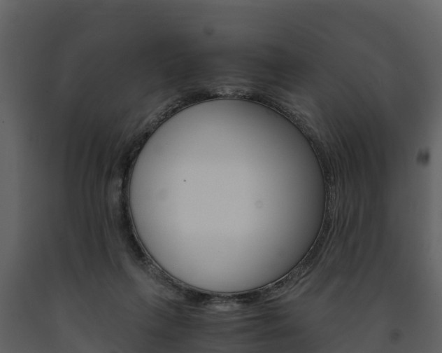 X0000091710263200708241003