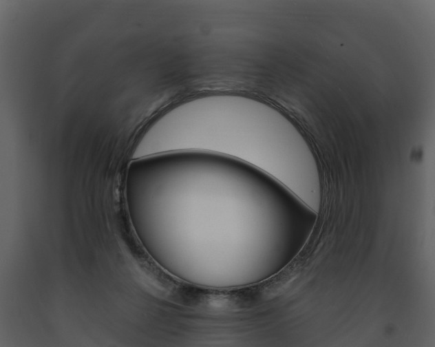 X0000091710264200708241003