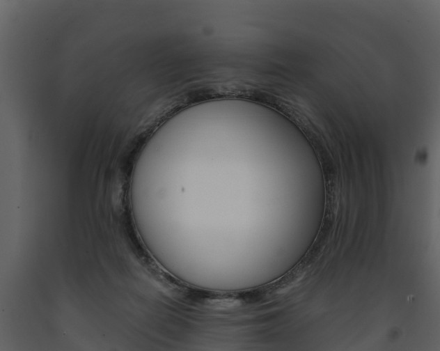 X0000091710266200708241003