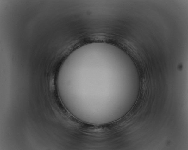 X0000091710267200708241003