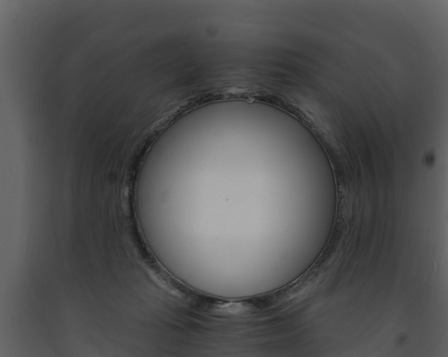 X0000091710269200708241003