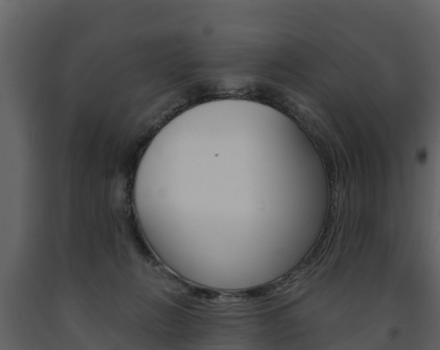 X0000091710270200708241003