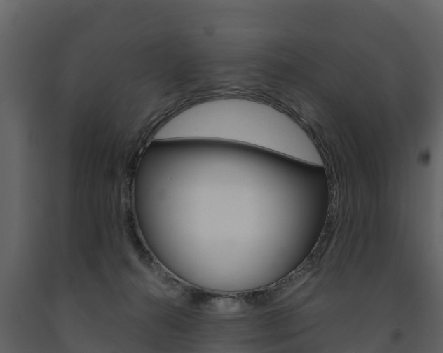 X0000091710272200708241003