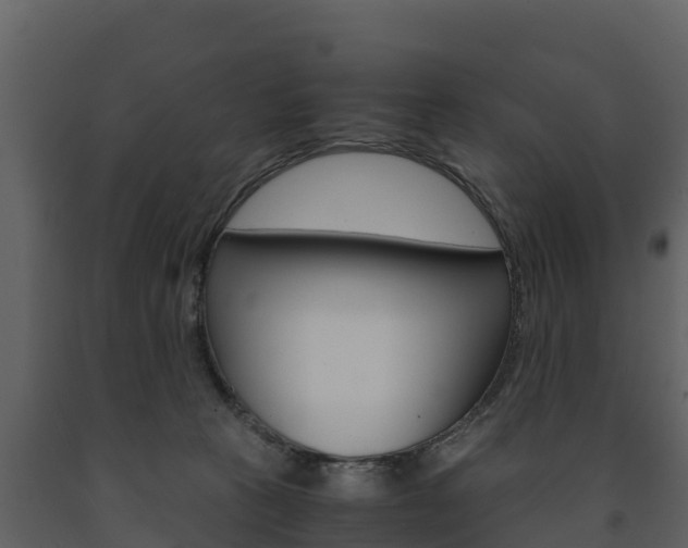 X0000091710273200708241003