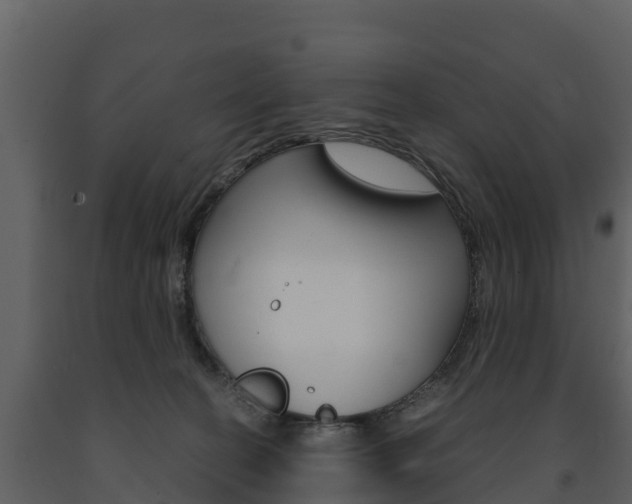 X0000091710274200708241003